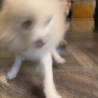 画像3188