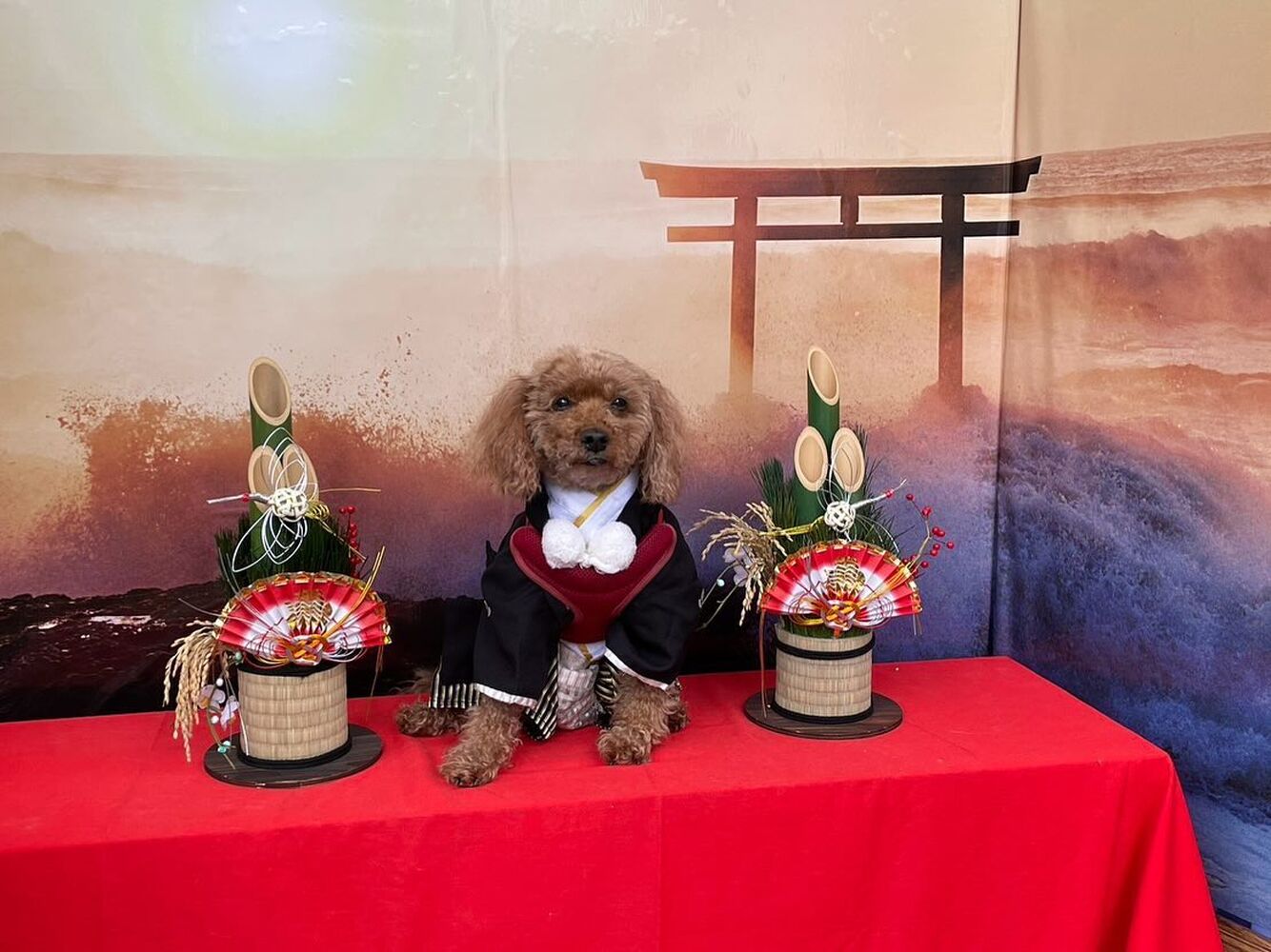 画像31892