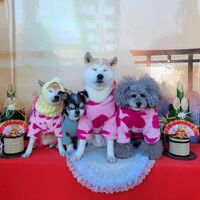 画像32121