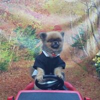 画像32137