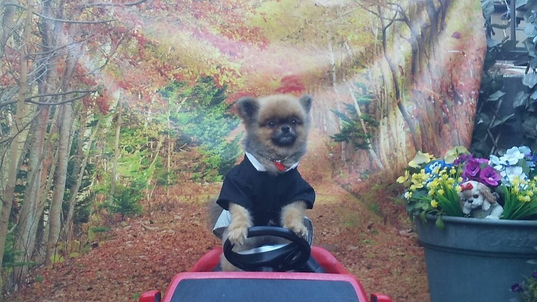 画像32137
