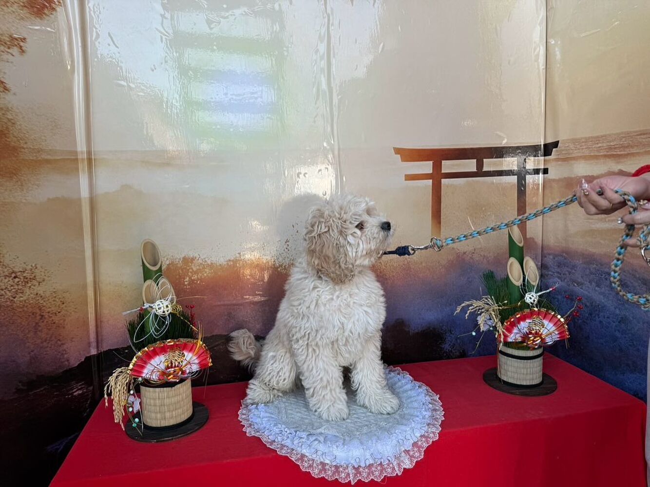 画像32209