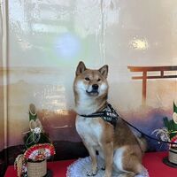 画像32216