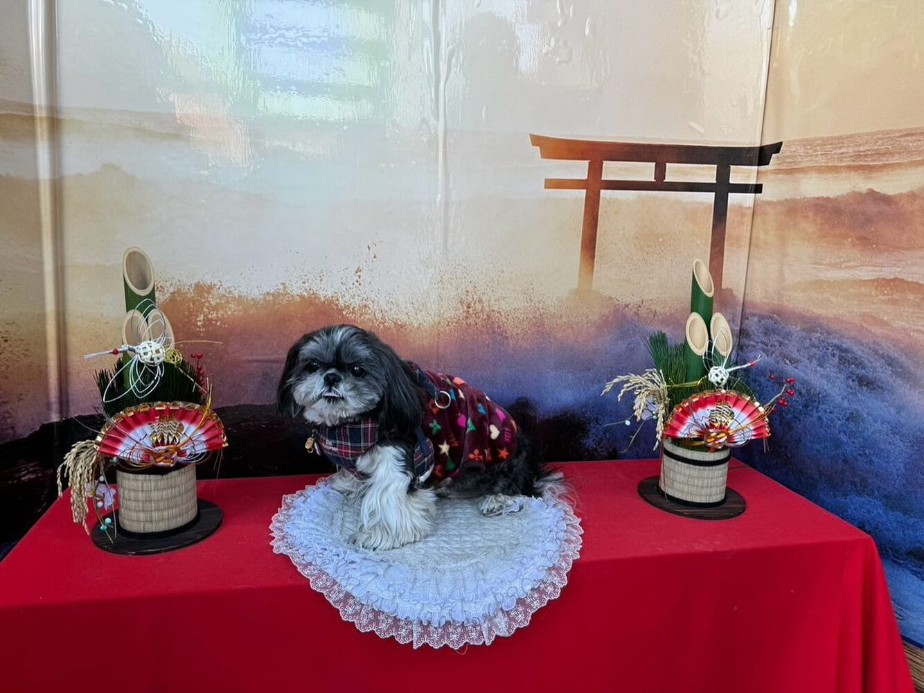 画像32227