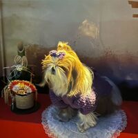 画像32234