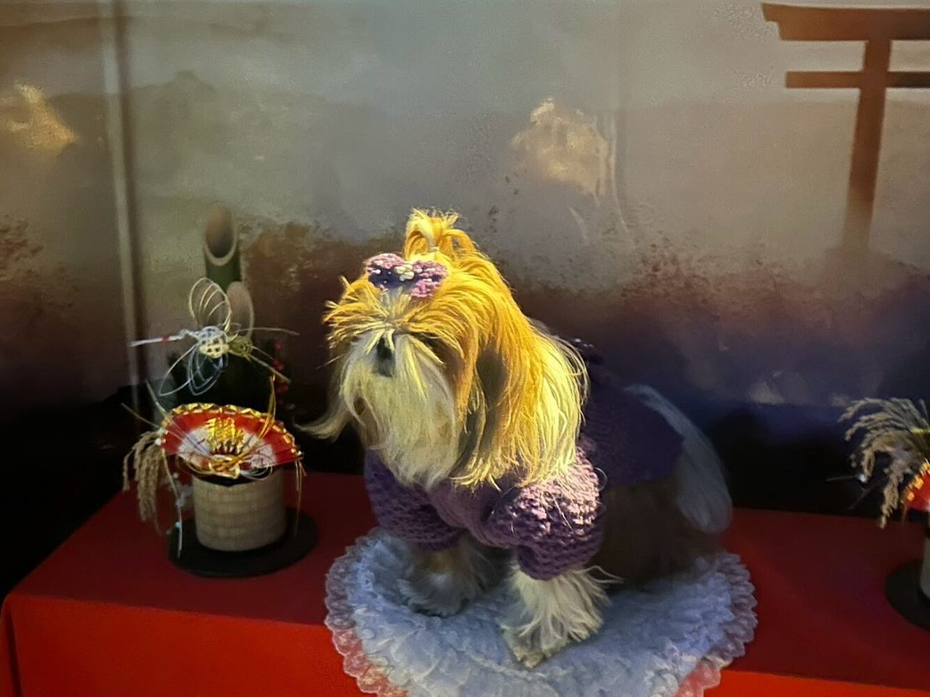 画像32234