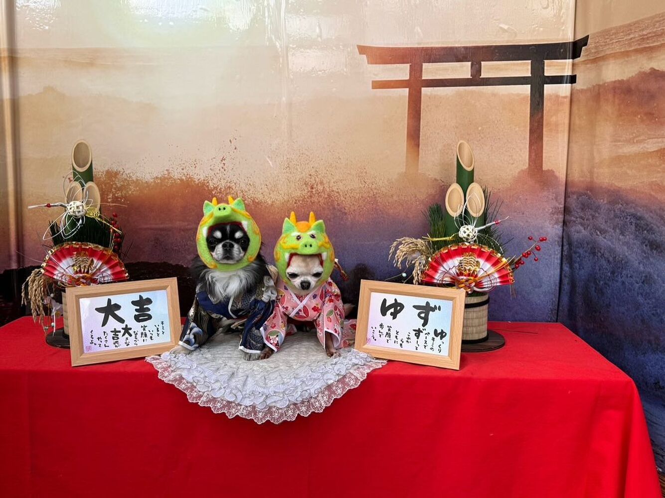 画像32338
