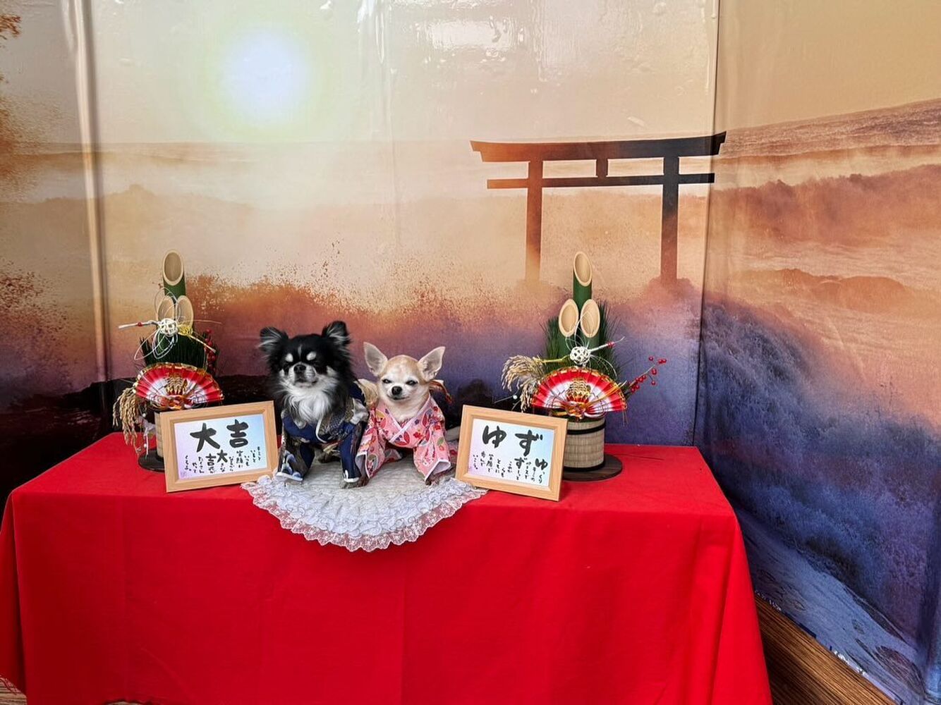 画像32339