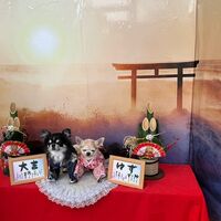 画像32340