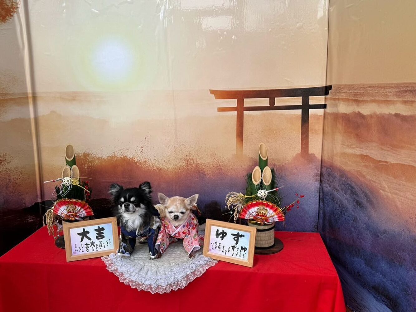 画像32340