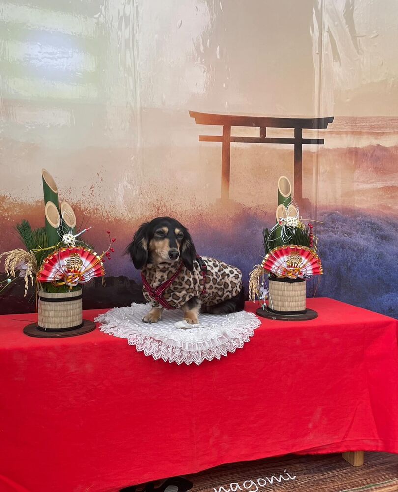 画像32523