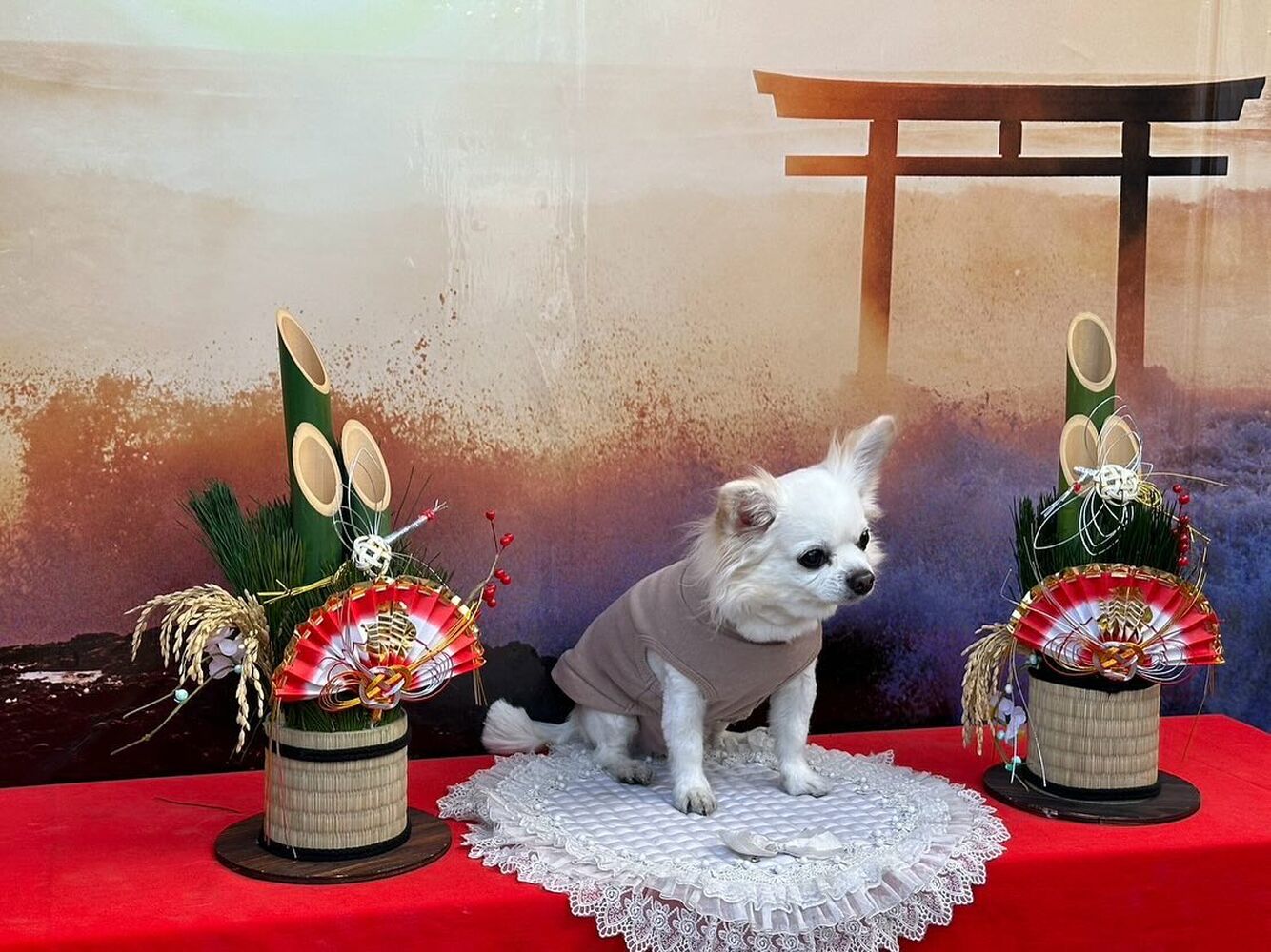 画像32532