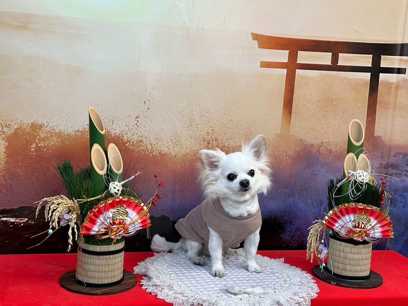 画像32533