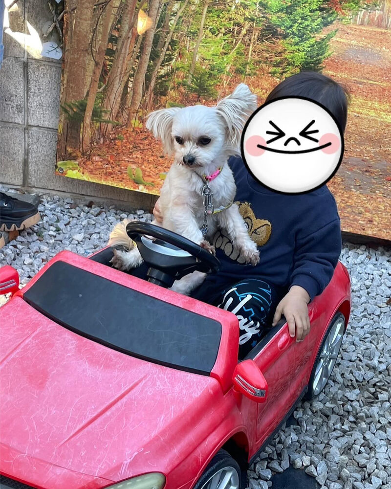 画像32553