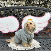 画像32633