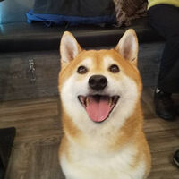 画像32658