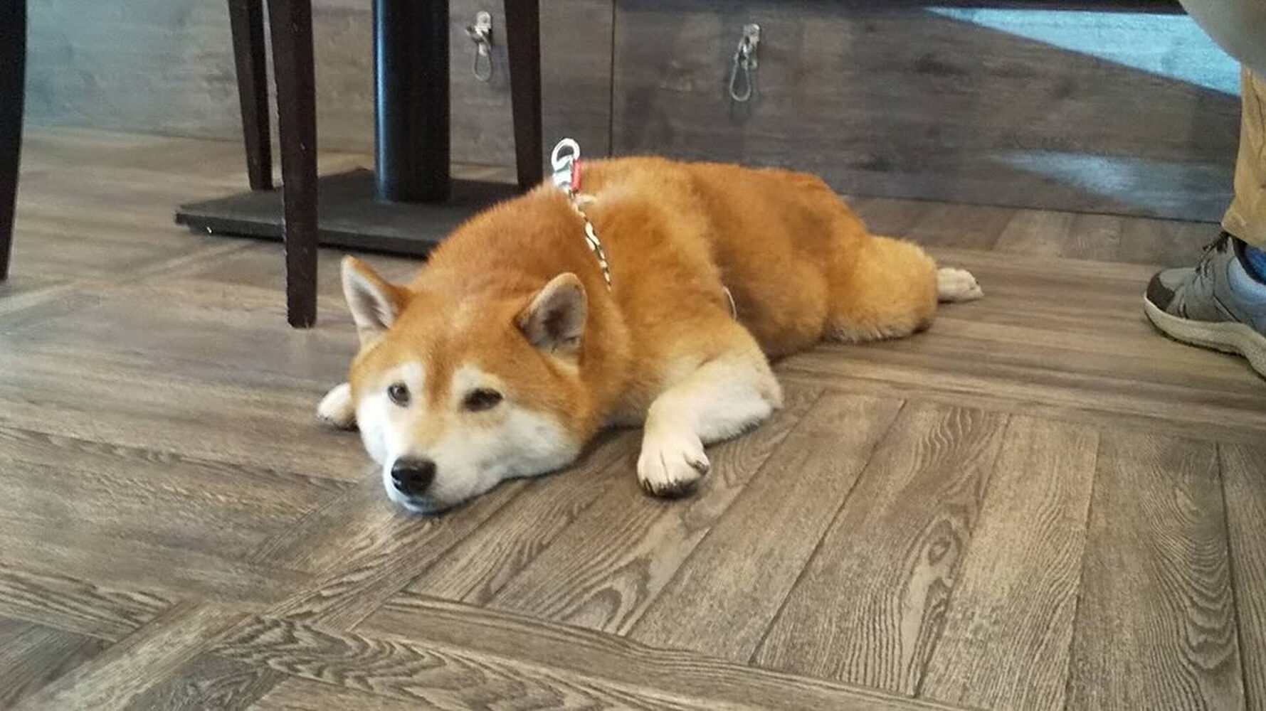 画像32665