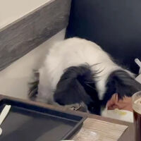画像32936