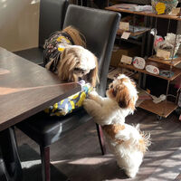 画像32947