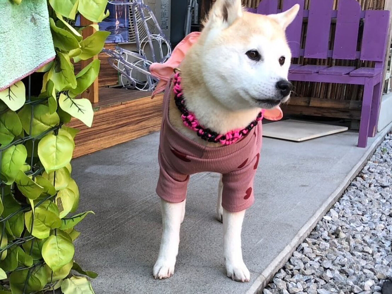 画像33130