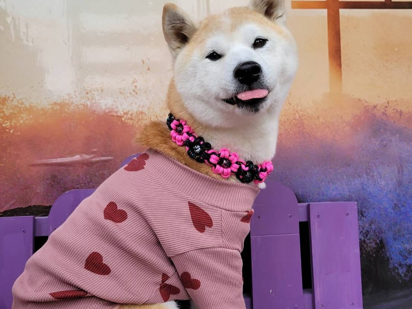 画像33133
