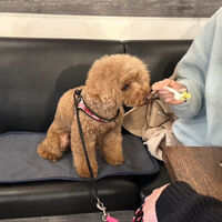 画像33163