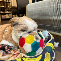 画像33933