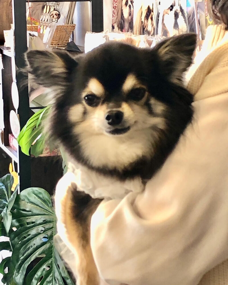 画像33939