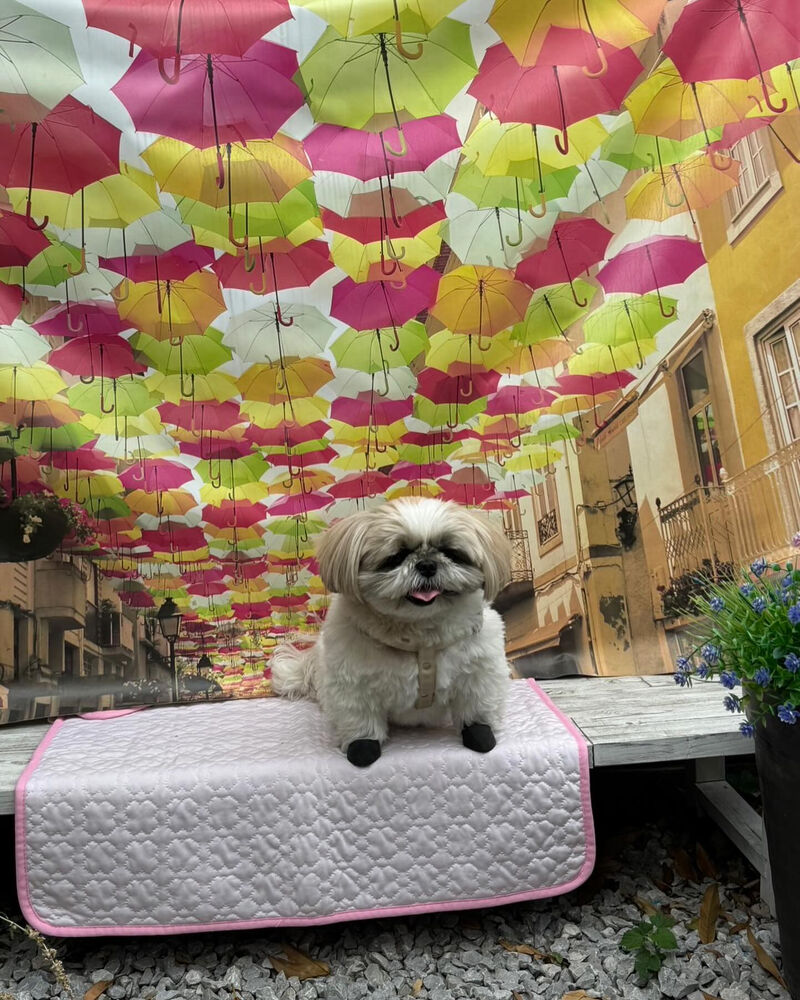 画像34470