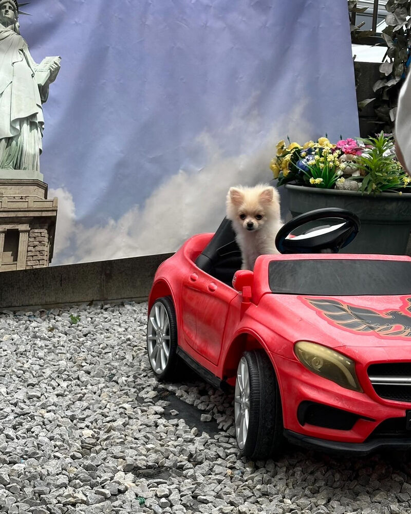 画像34479