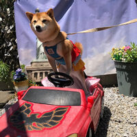 画像34538
