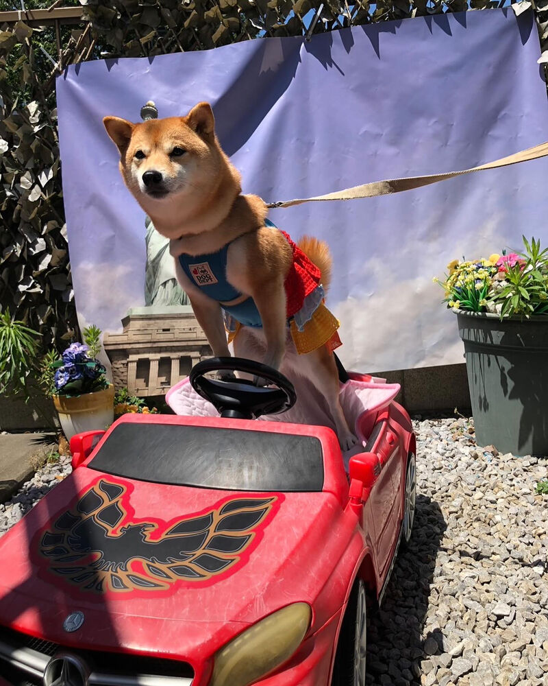 画像34538