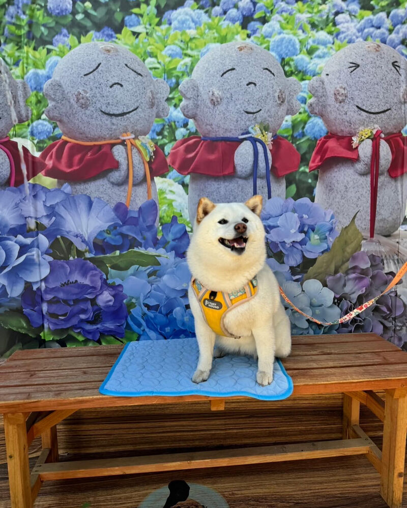 画像34567