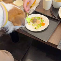 画像34760