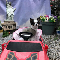 画像34805