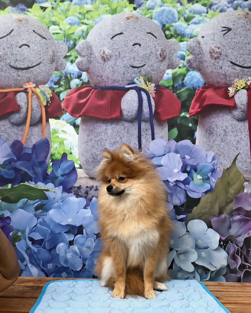 画像34815