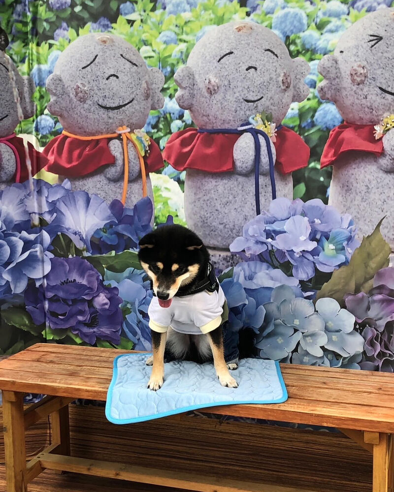 画像34888