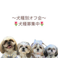 画像34910