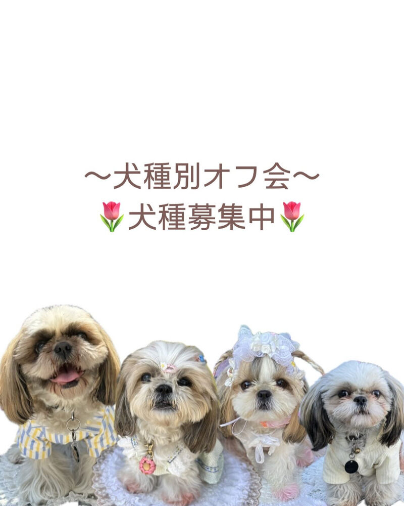 画像34910