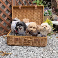 画像35001