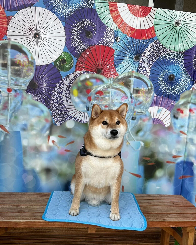画像35080