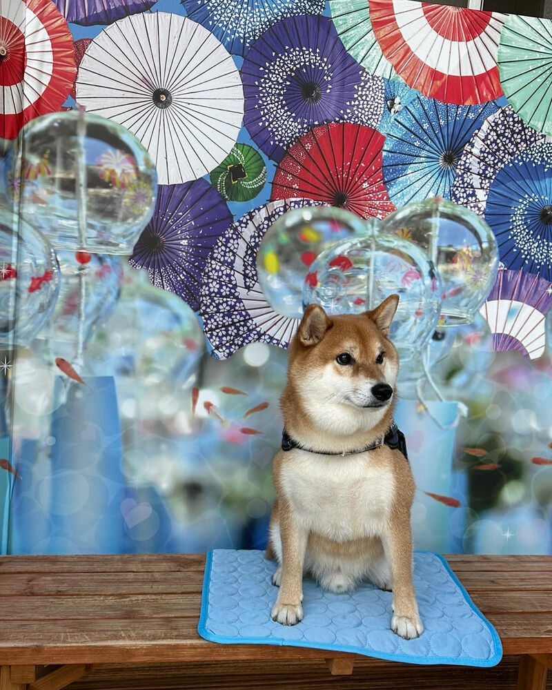 画像35081