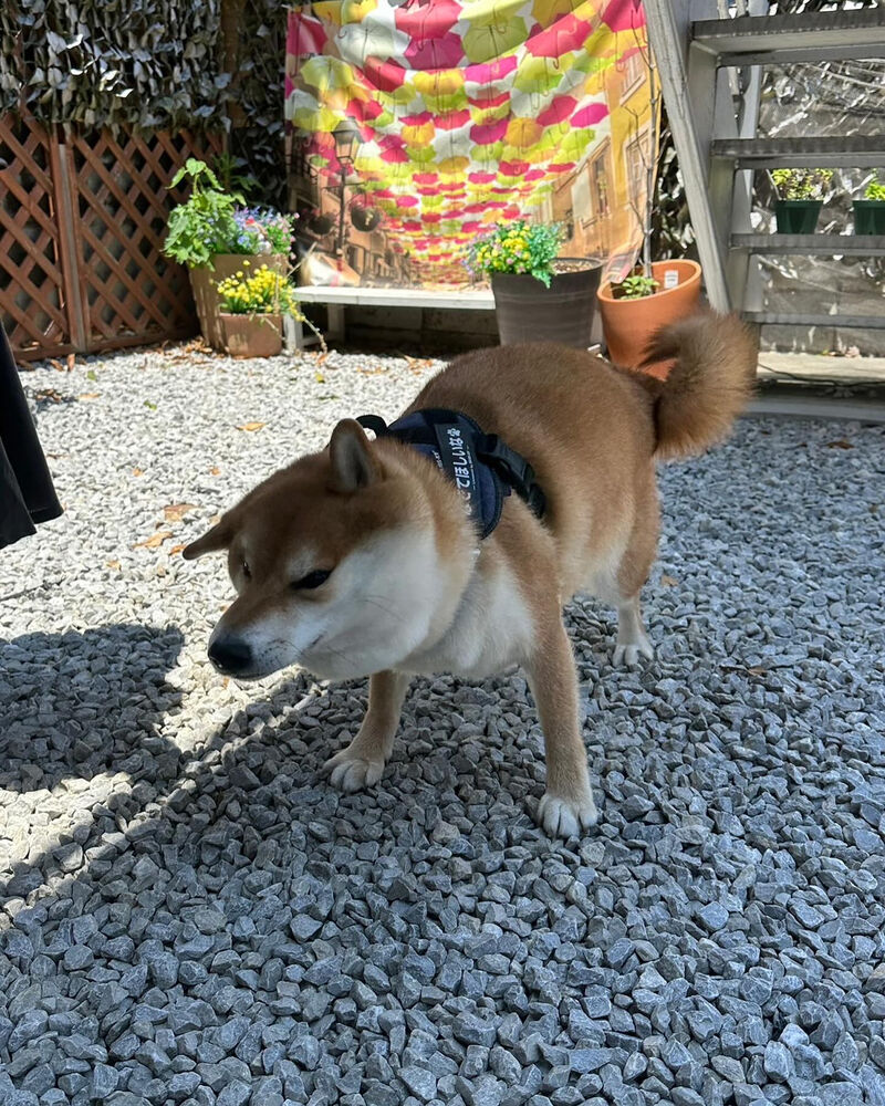 画像35082