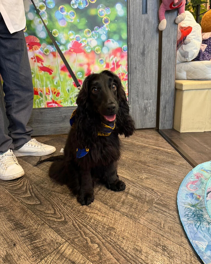 画像35180