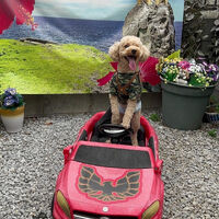 画像35553