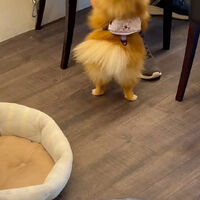 画像35663