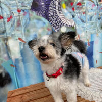 画像35734