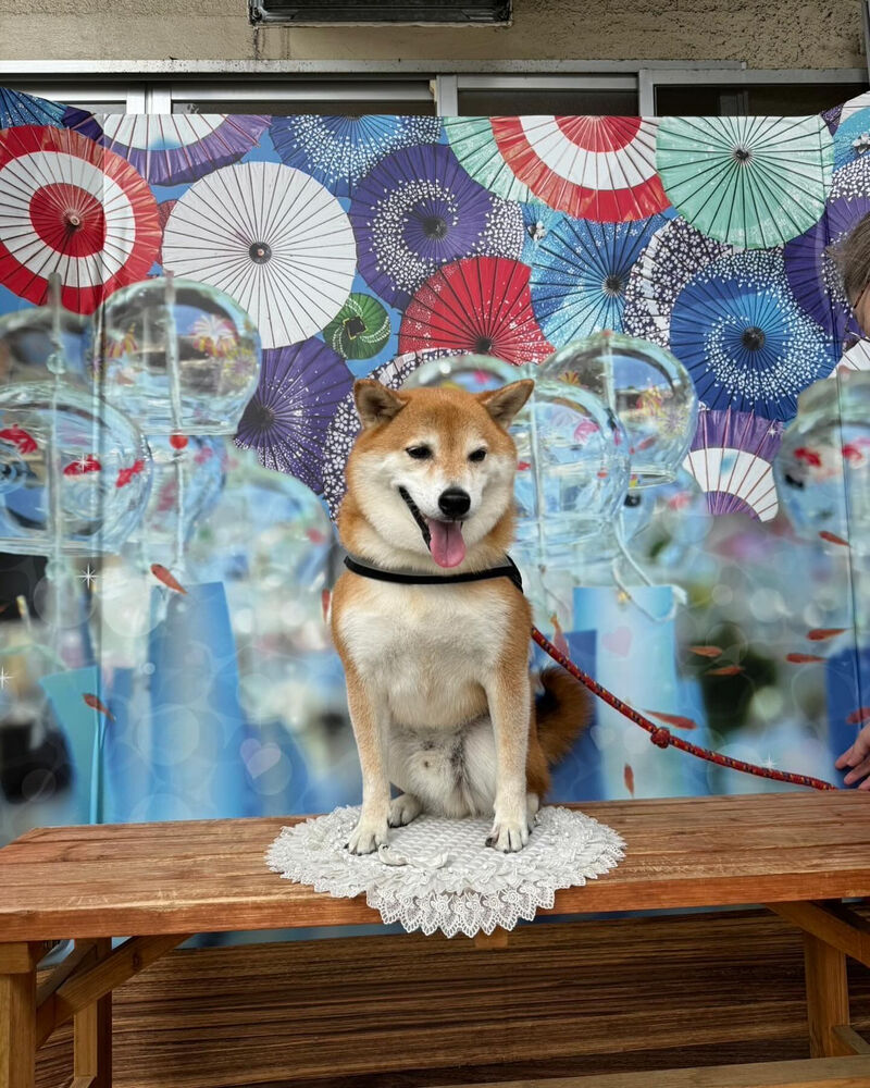 画像35750