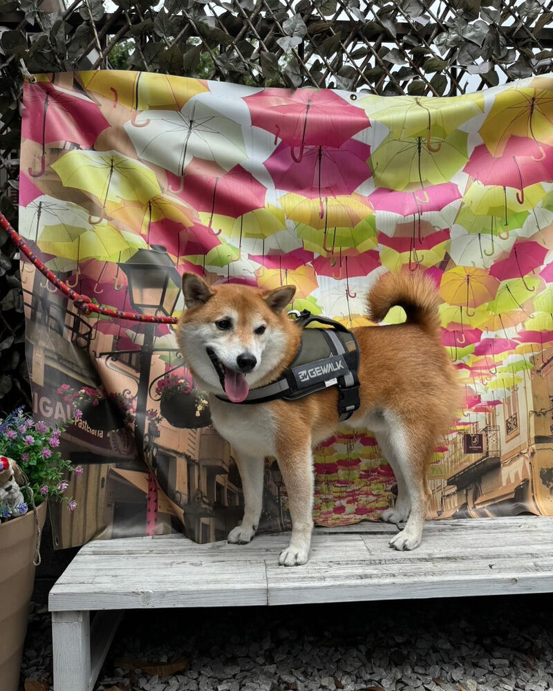 画像35751