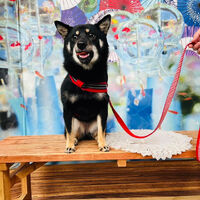 画像35848